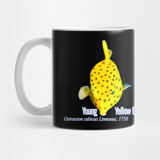 Young Yellow Boxfish Mug